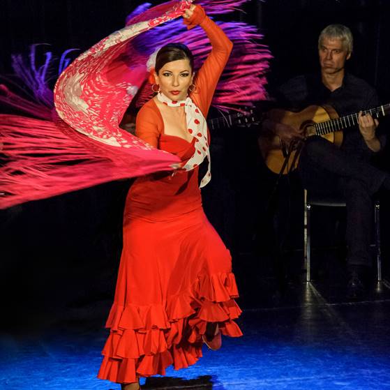 Flamenco Areti