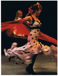 Flamenco Areti